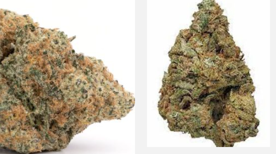 Buy Top Quality Hybrid Weed Strains Grown In The Uk